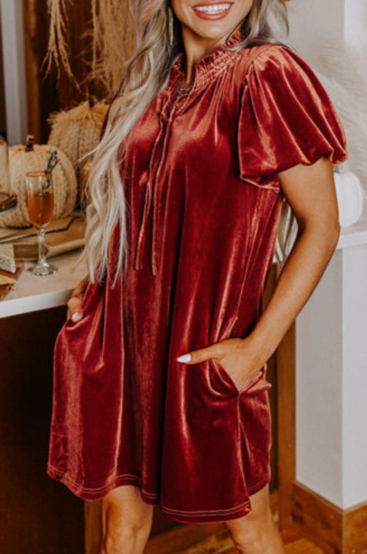 CINNAMON CRUSH VELVET DRESS